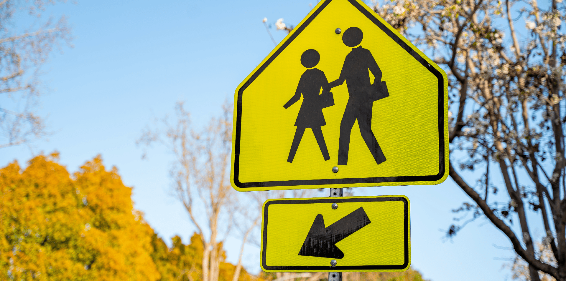 zone-scolaire-hero